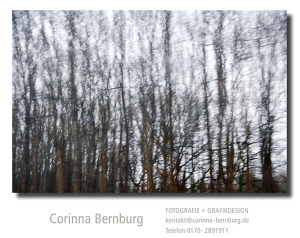 Corinna Bernburg